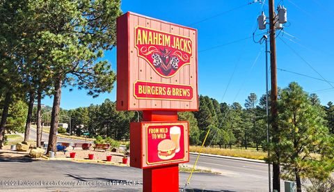 1097 Mechem Drive Ruidoso NM 88345