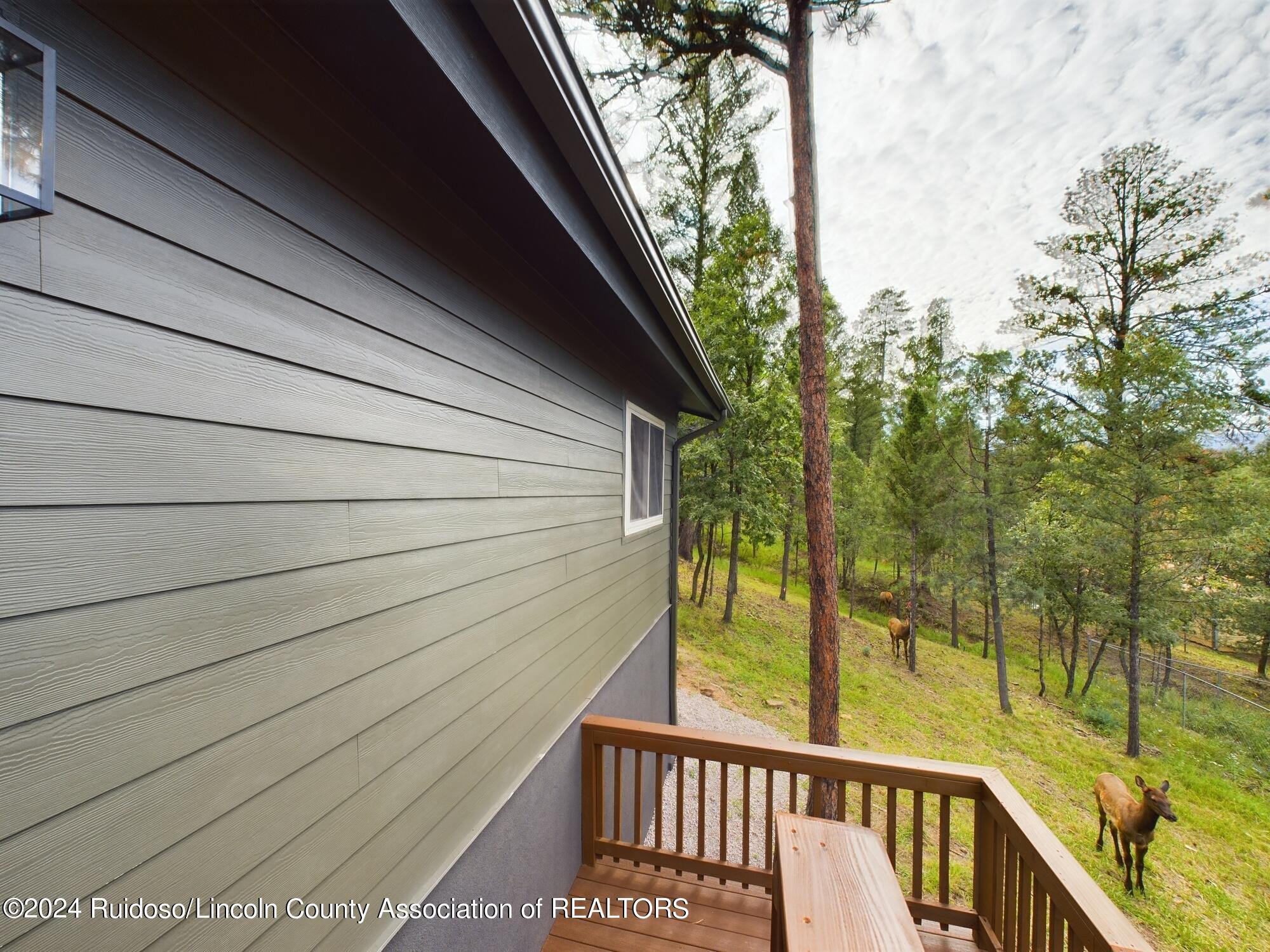 106 Grant Drive, Ruidoso, New Mexico image 46