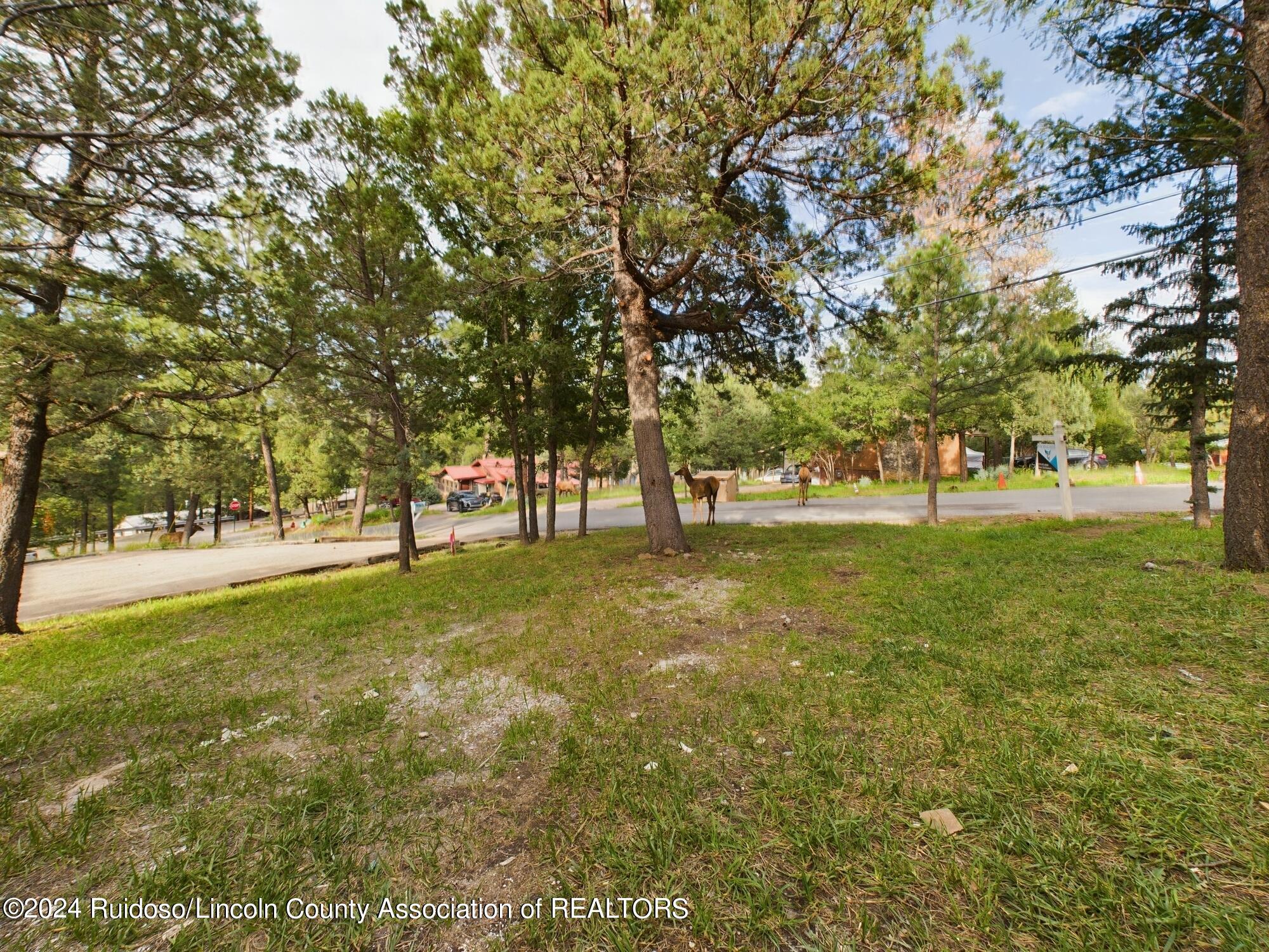 106 Grant Drive, Ruidoso, New Mexico image 7