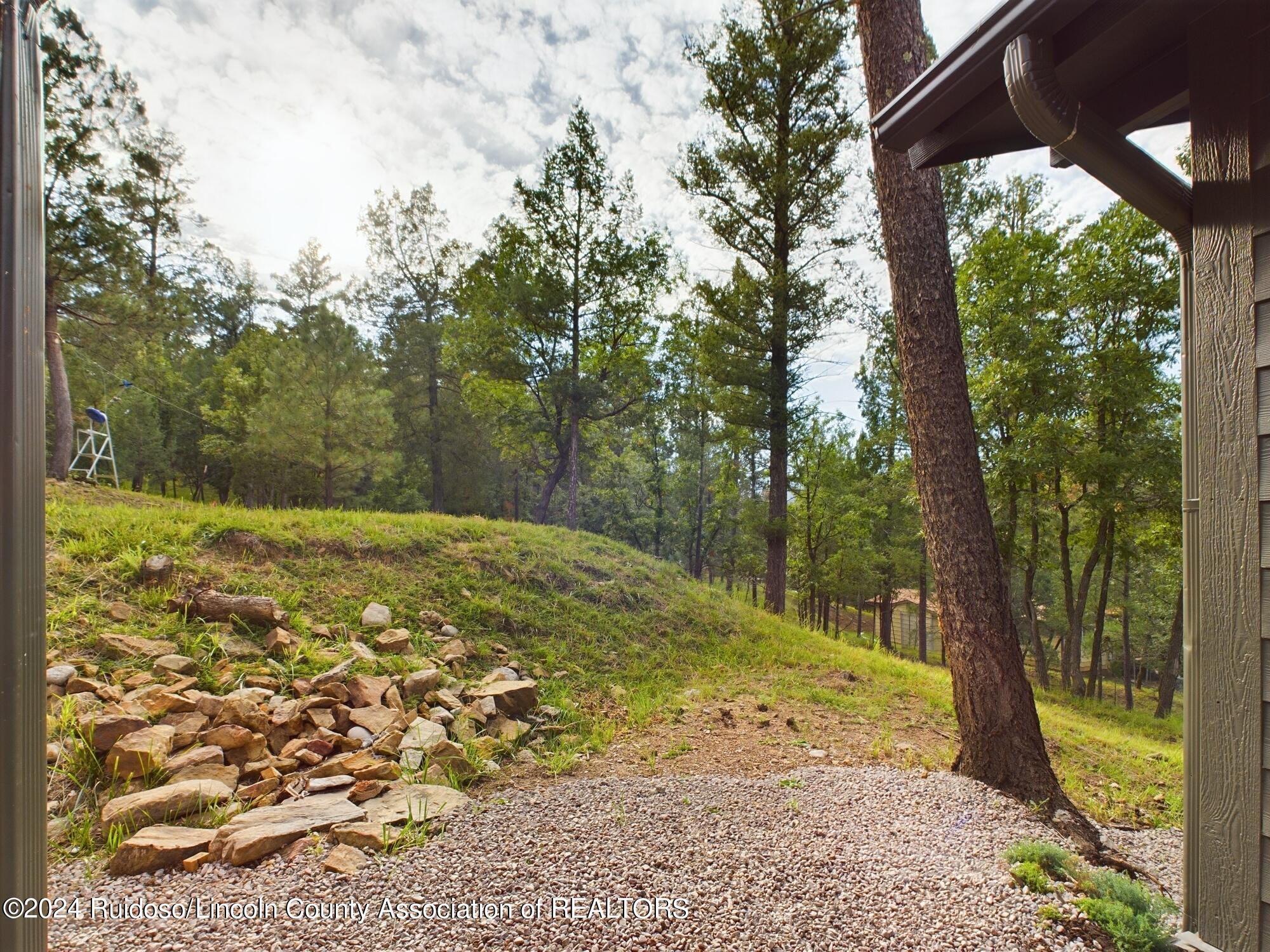 106 Grant Drive, Ruidoso, New Mexico image 41