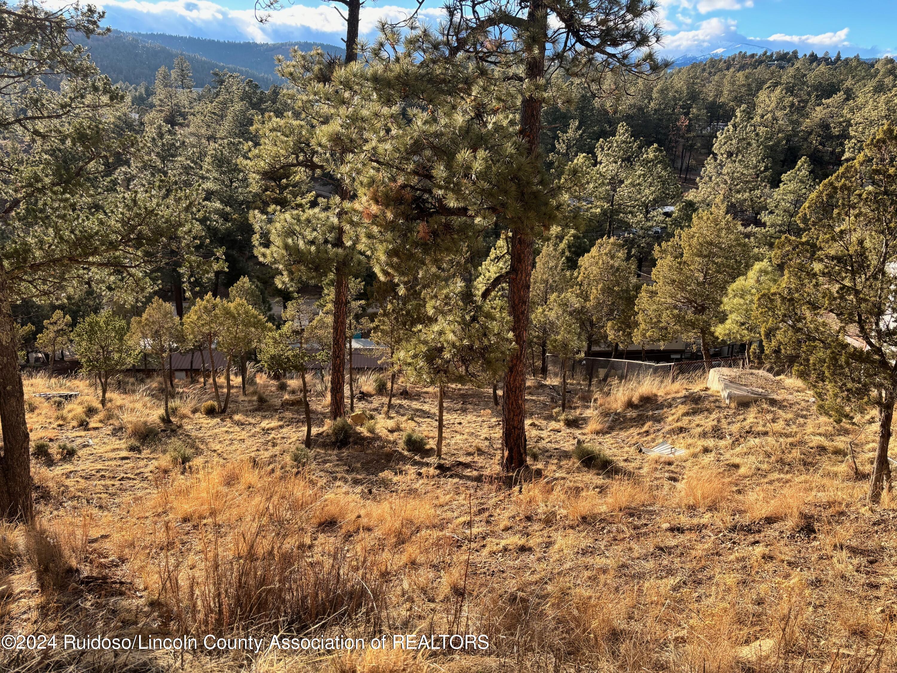 110 Rockmount Drive, Ruidoso, New Mexico image 3