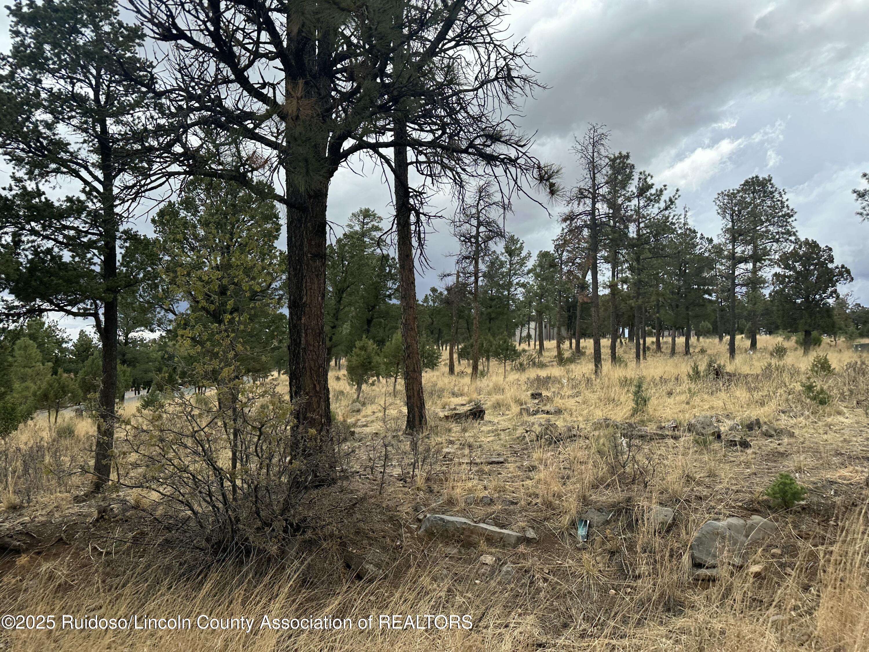 102 Avalon Court, Ruidoso, New Mexico image 8