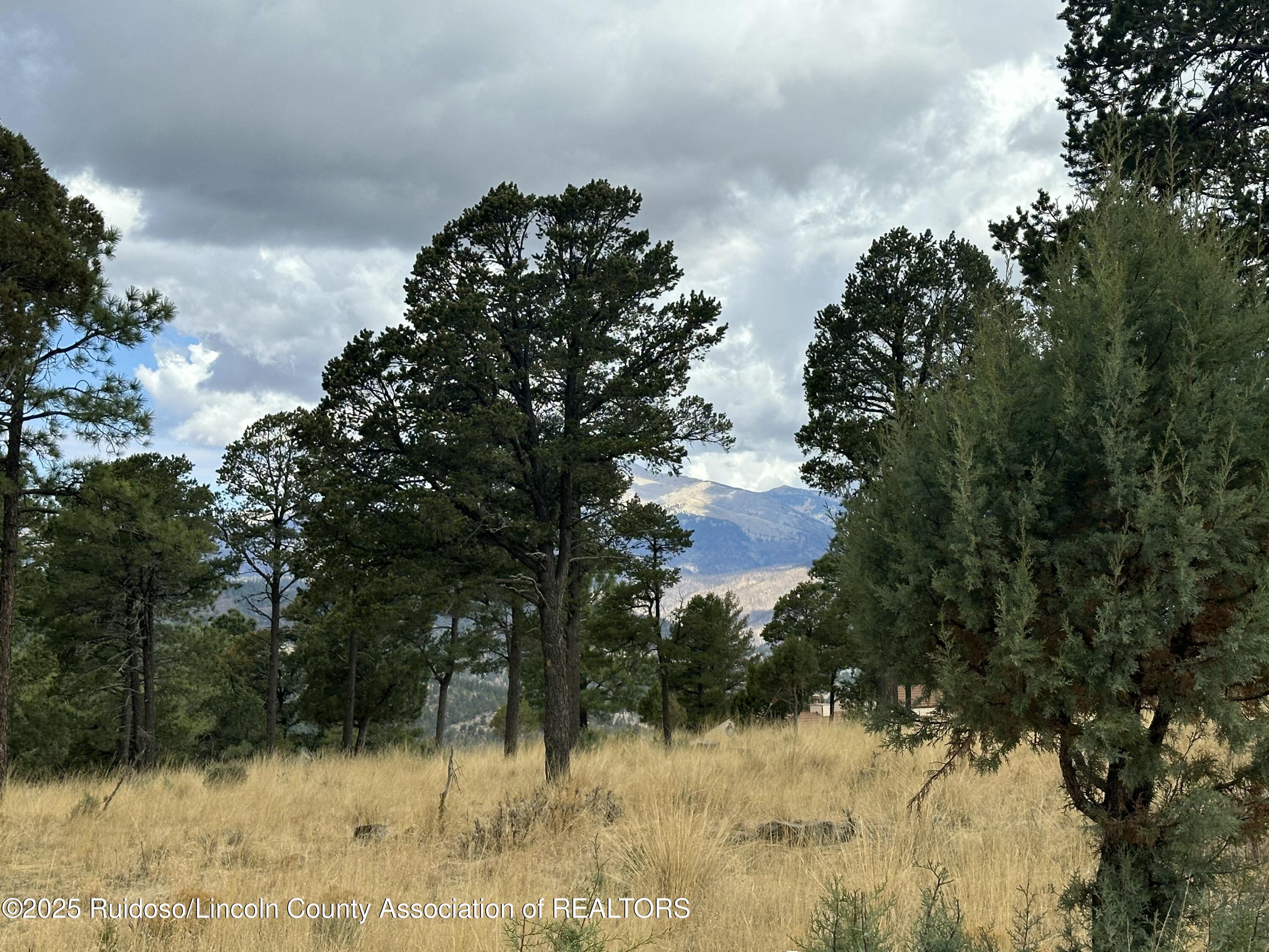 102 Avalon Court, Ruidoso, New Mexico image 14
