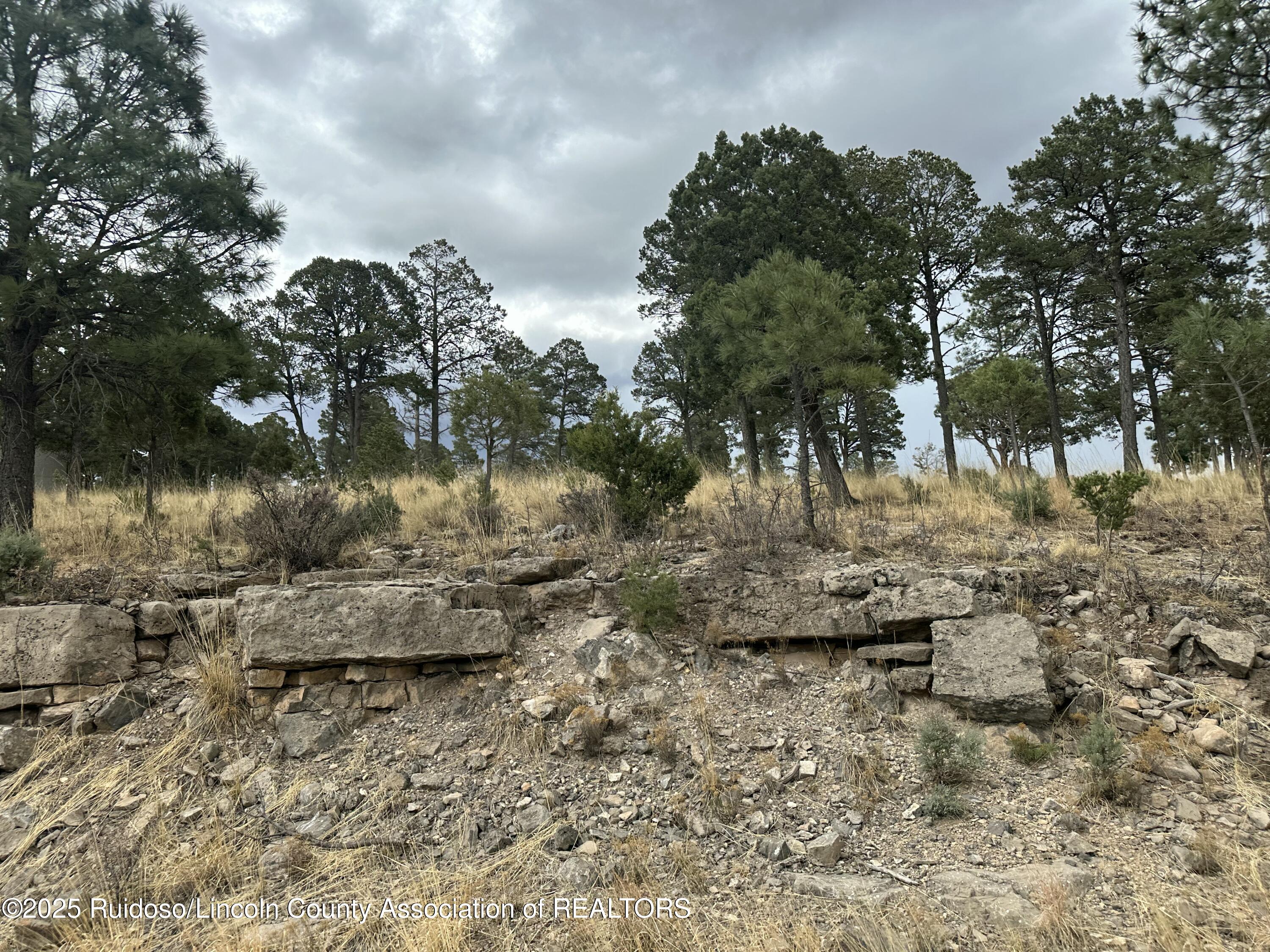 102 Avalon Court, Ruidoso, New Mexico image 5