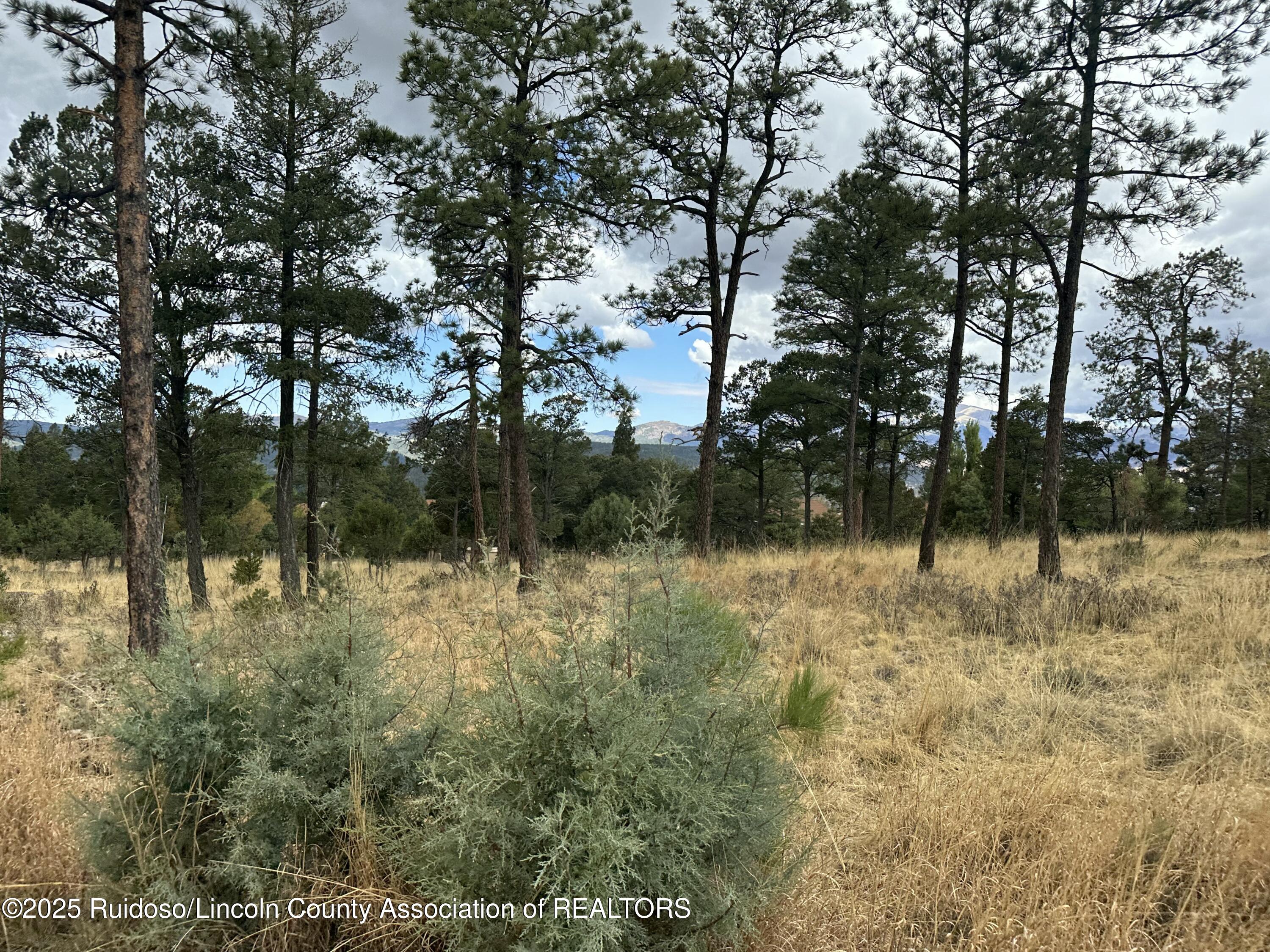 102 Avalon Court, Ruidoso, New Mexico image 12