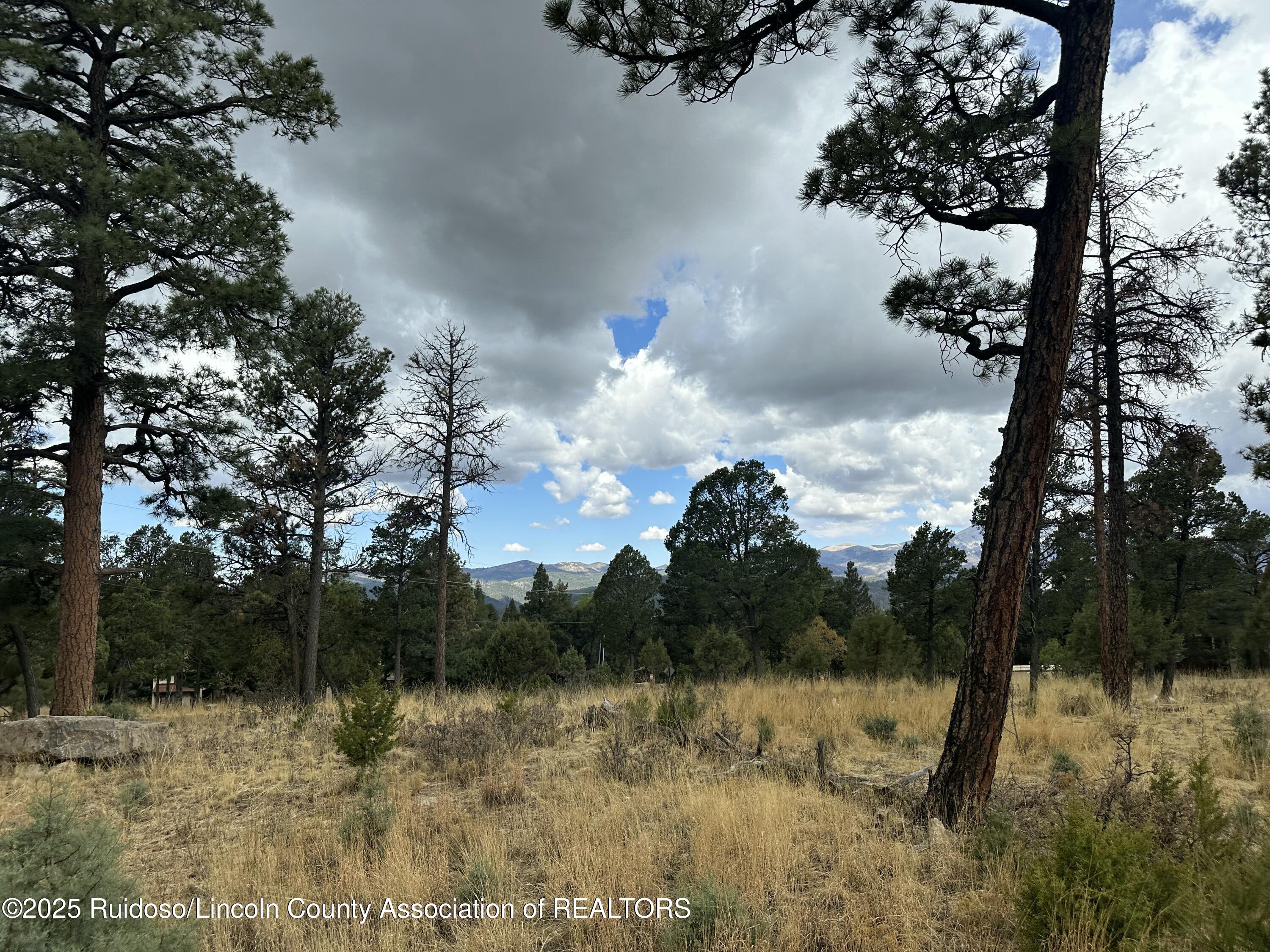 102 Avalon Court, Ruidoso, New Mexico image 2
