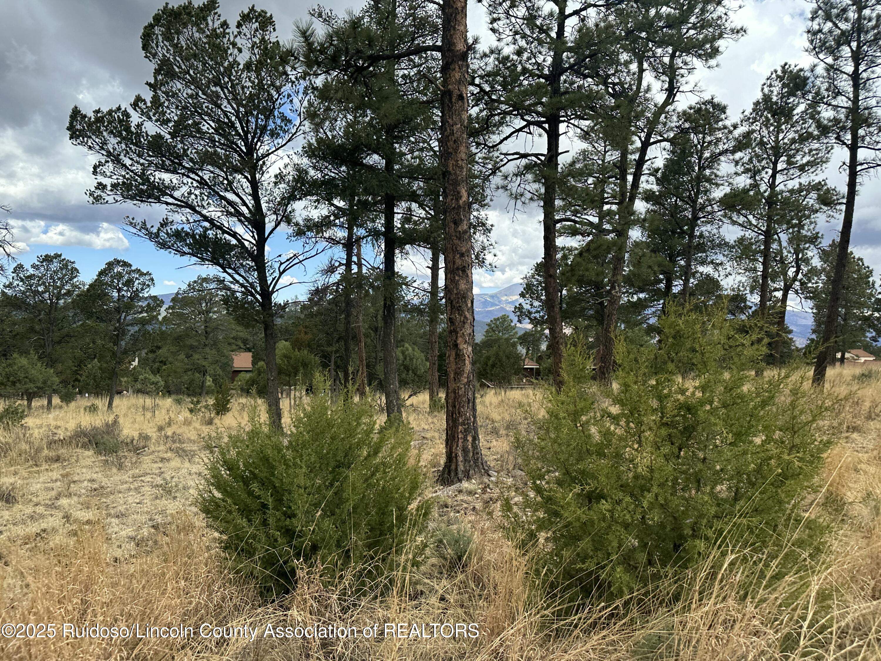 102 Avalon Court, Ruidoso, New Mexico image 3