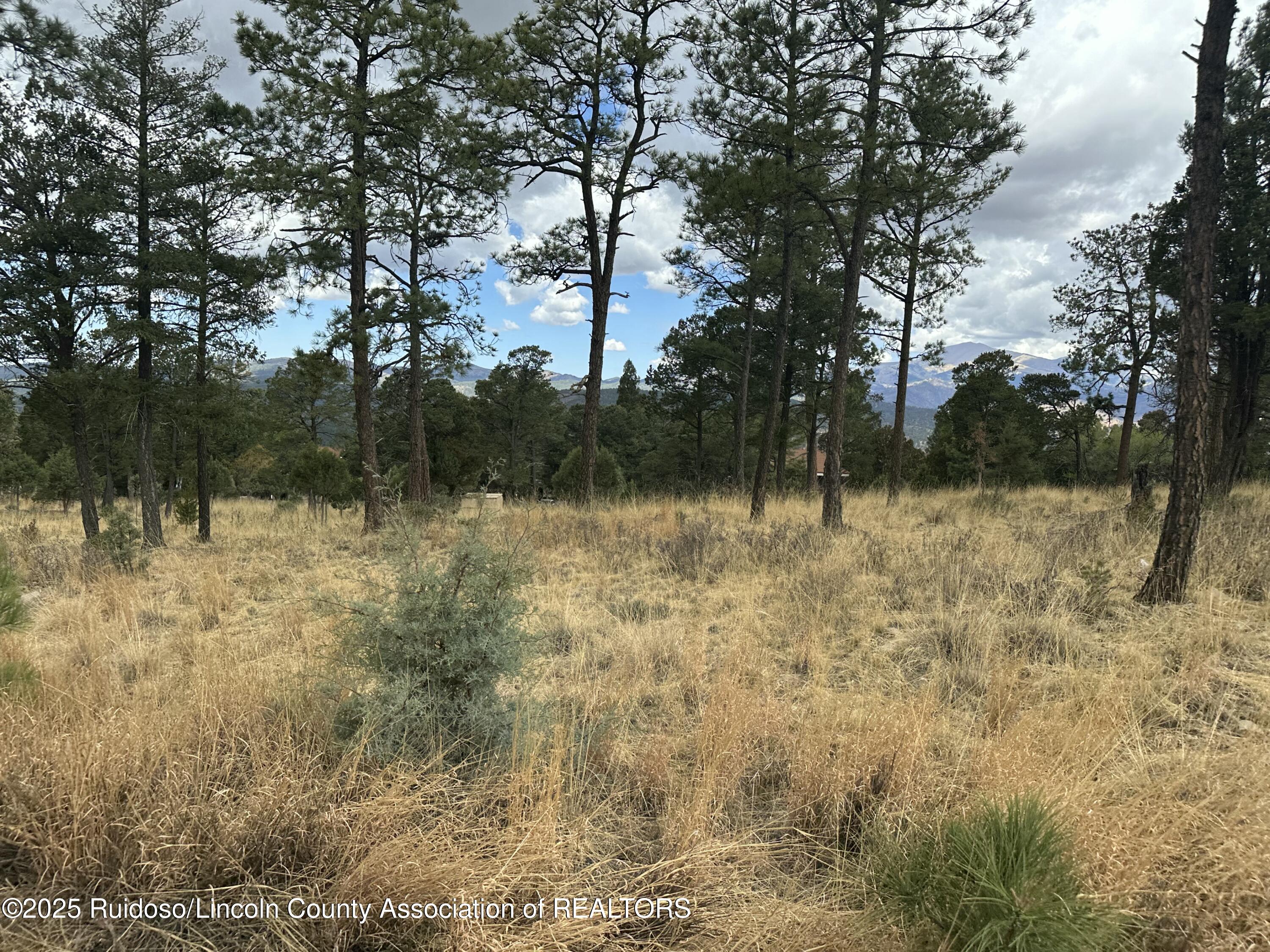 102 Avalon Court, Ruidoso, New Mexico image 13