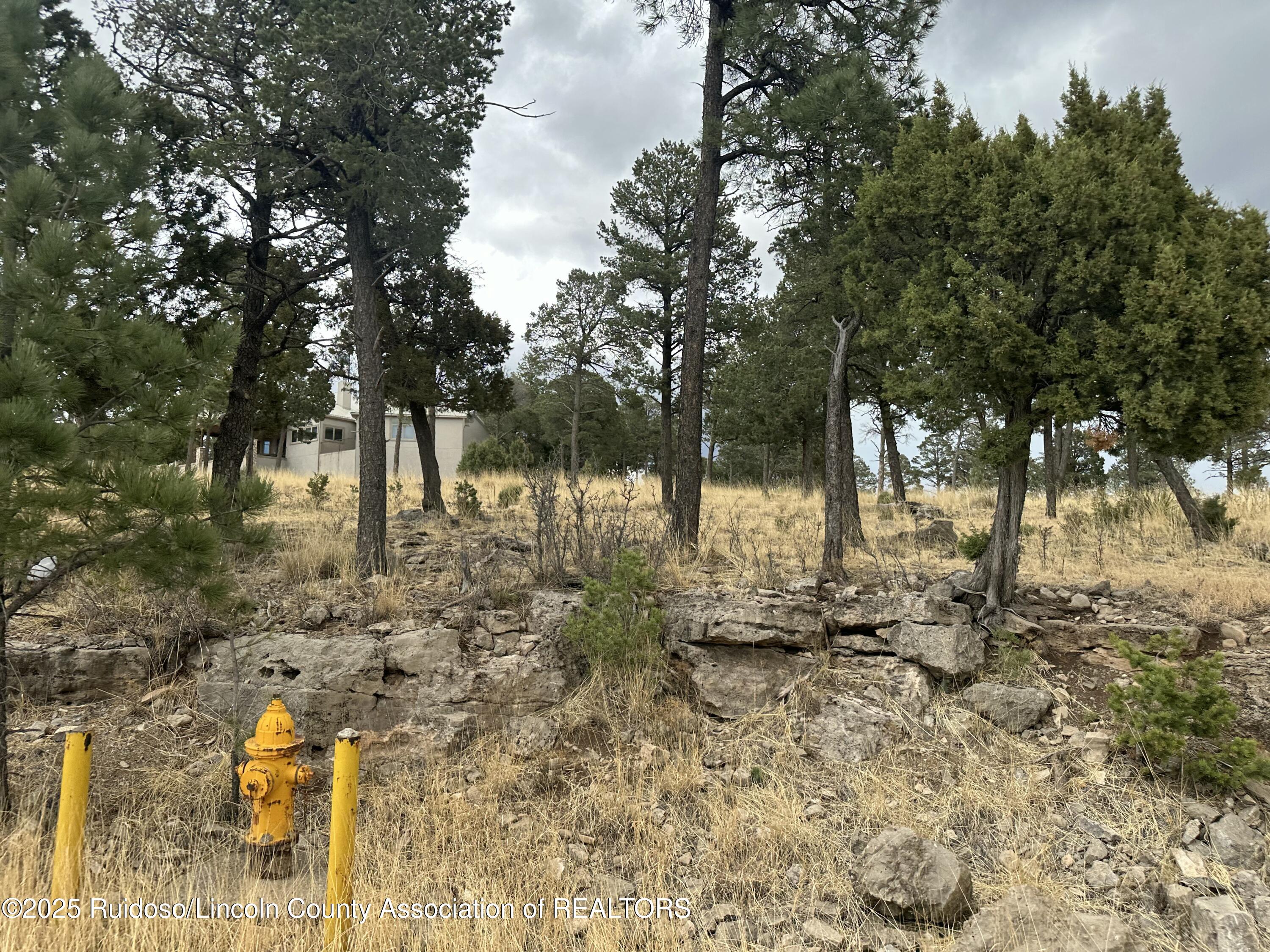 102 Avalon Court, Ruidoso, New Mexico image 4