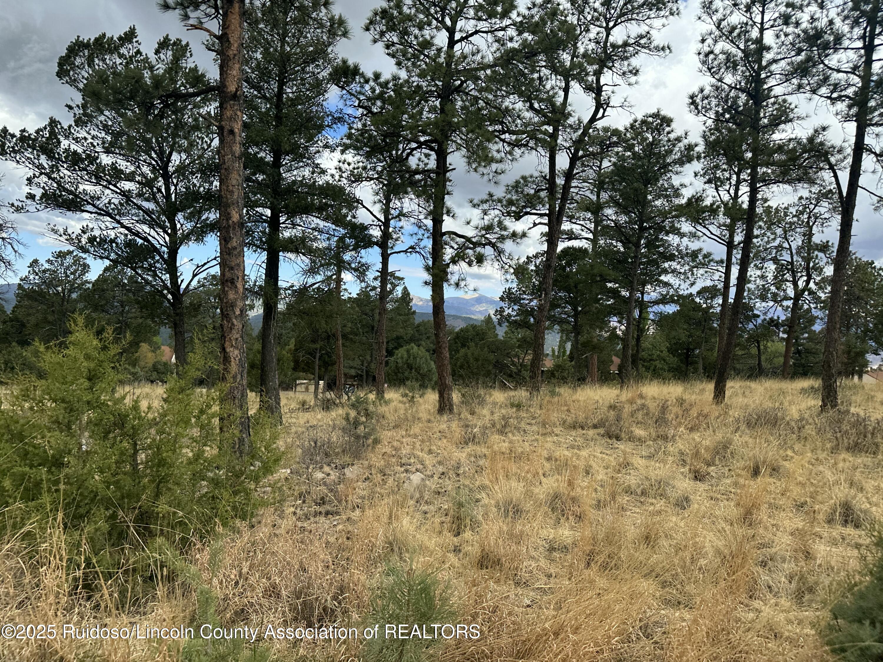 102 Avalon Court, Ruidoso, New Mexico image 11