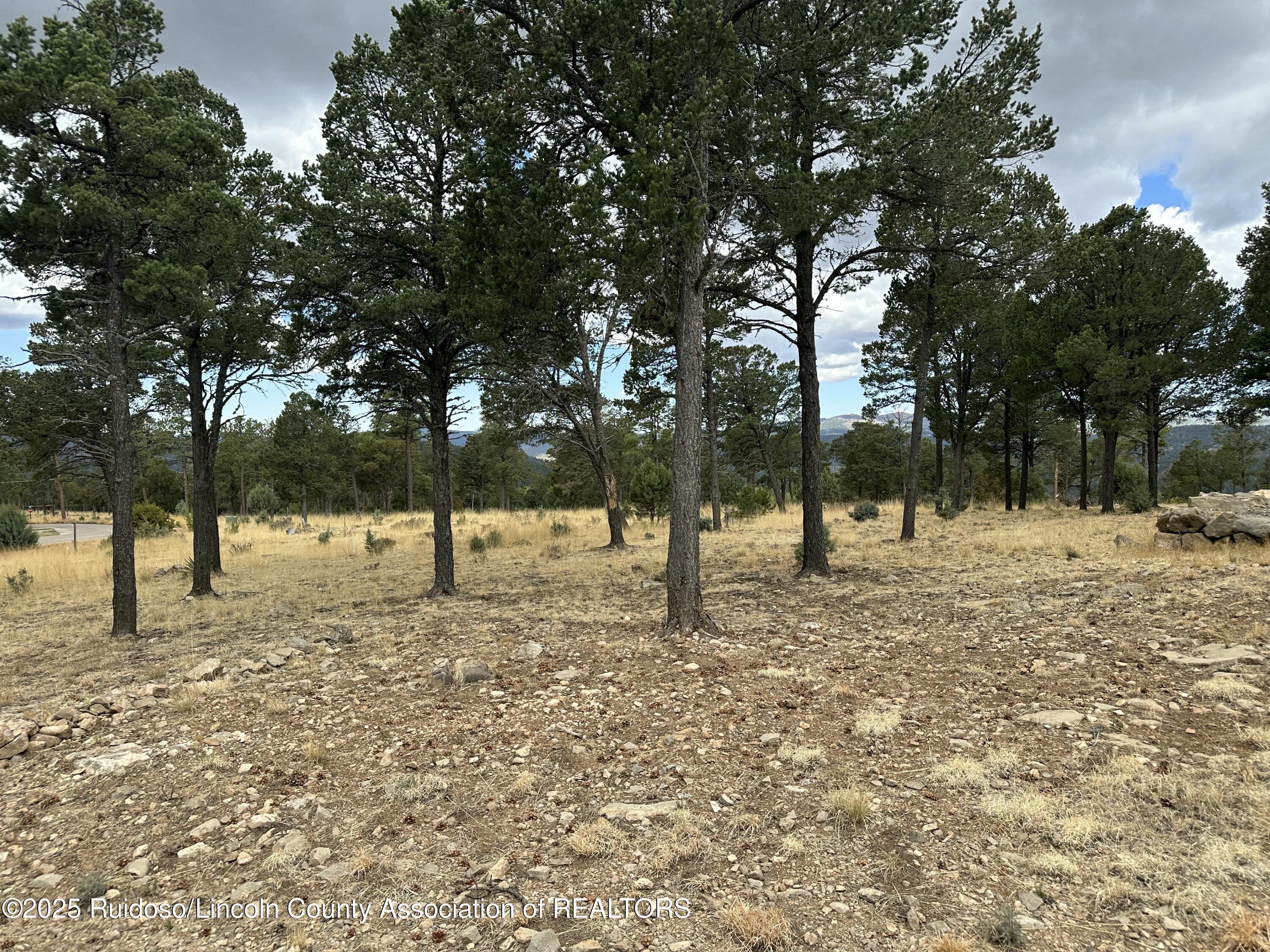 102 Avalon Court, Ruidoso, New Mexico image 16