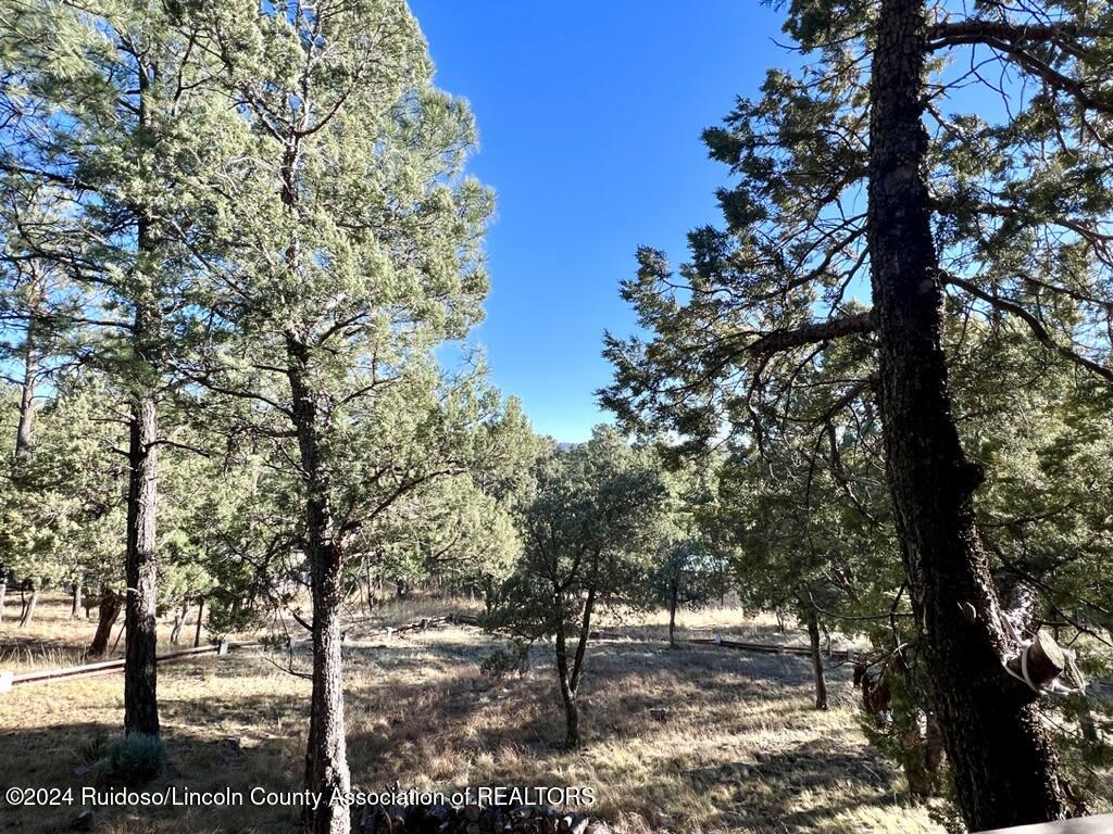 405 Del Norte Drive, Ruidoso, New Mexico image 30