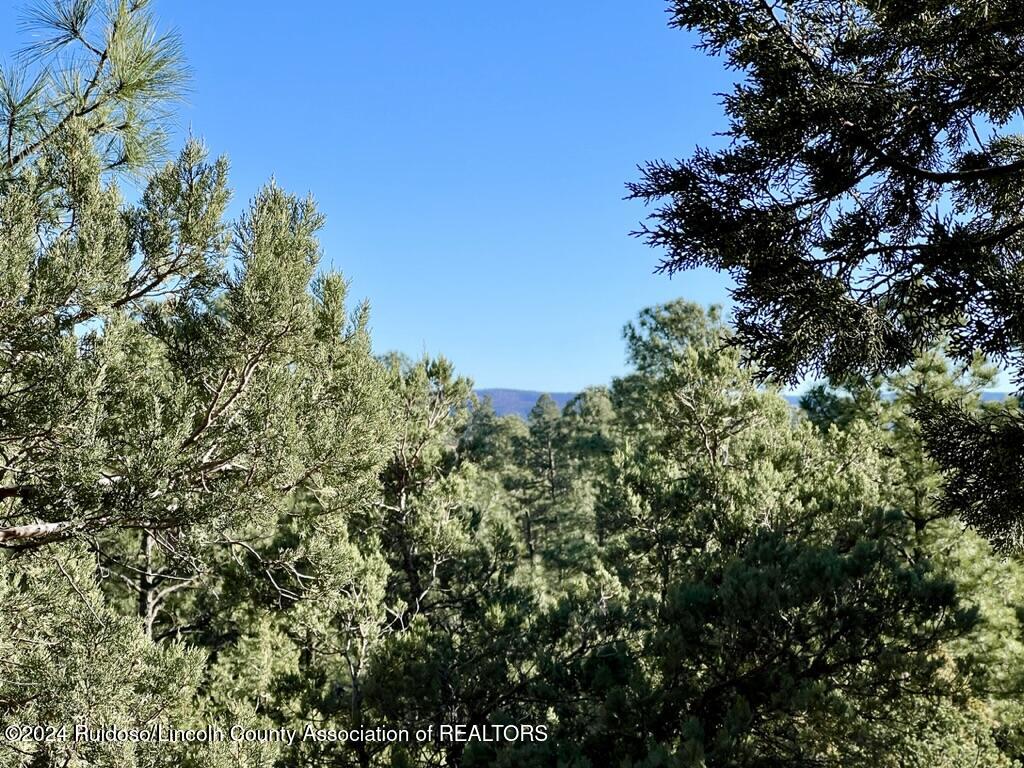 405 Del Norte Drive, Ruidoso, New Mexico image 28