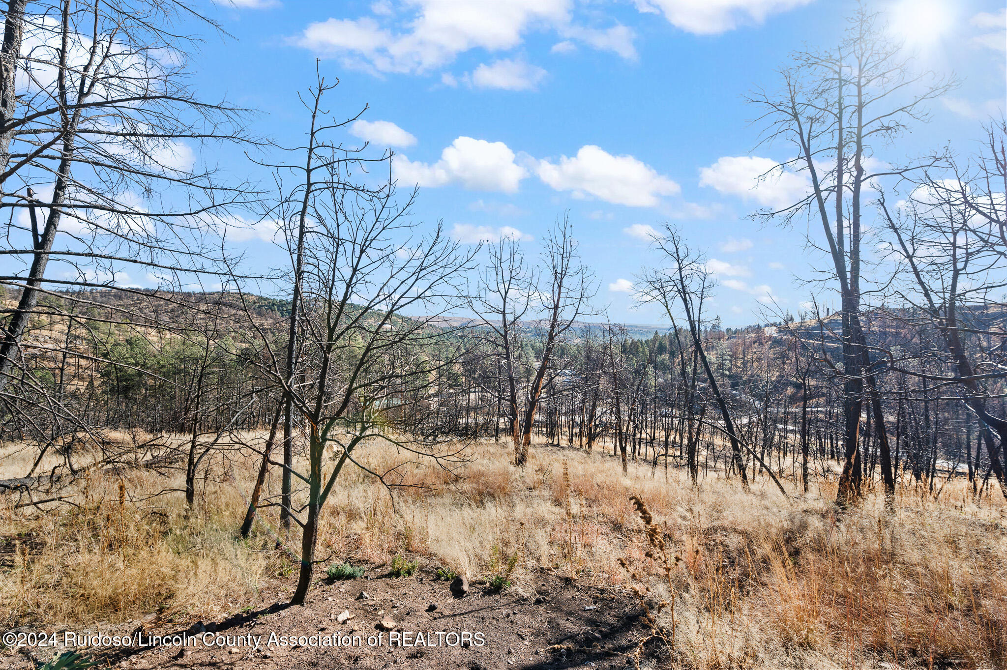 110 Cliffside Road, Ruidoso, New Mexico image 12