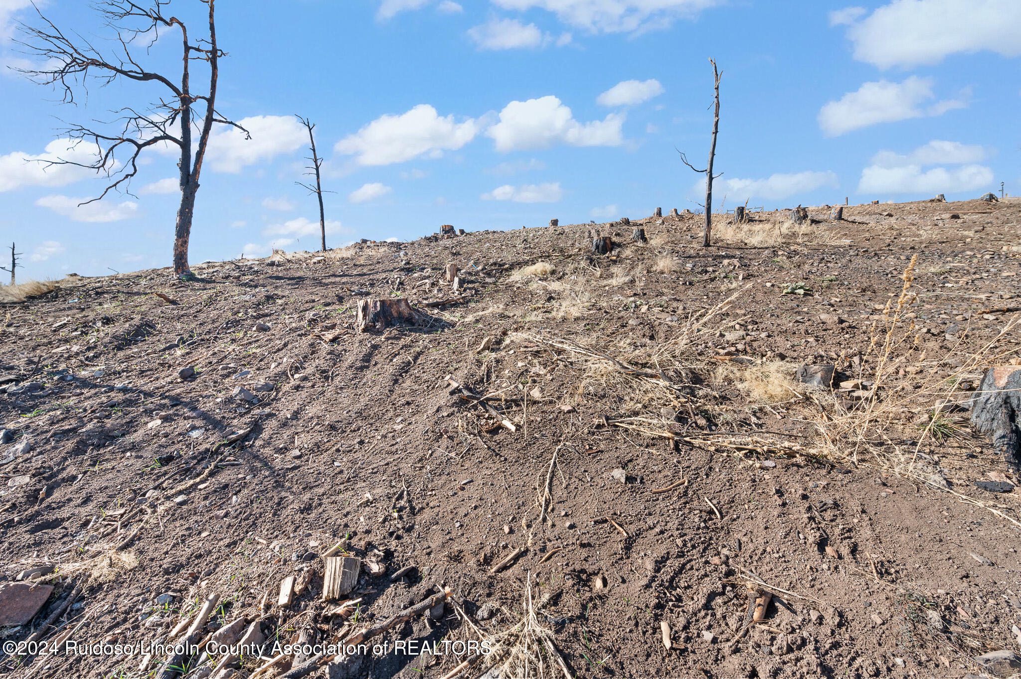 110 Cliffside Road, Ruidoso, New Mexico image 8