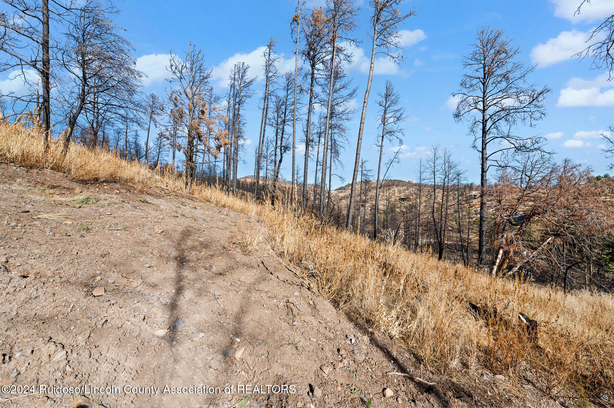 110 Cliffside Road, Ruidoso, New Mexico image 11