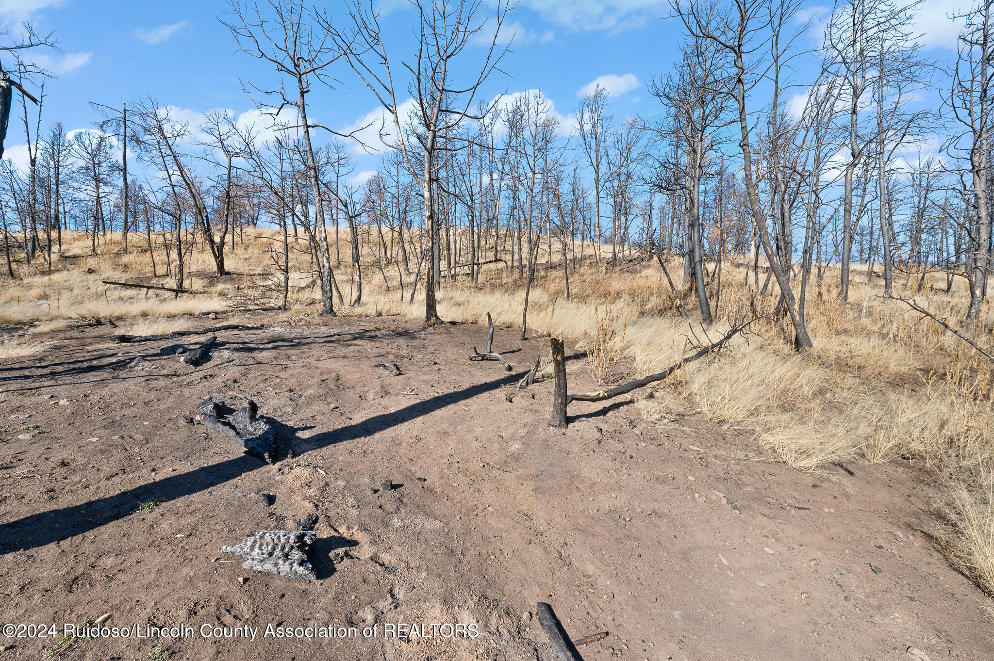 110 Cliffside Road, Ruidoso, New Mexico image 17