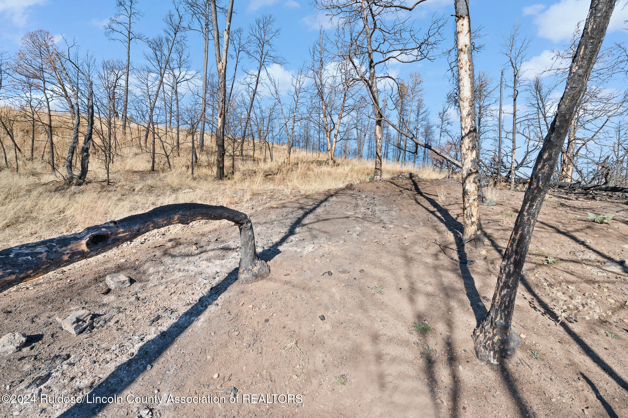 110 Cliffside Road, Ruidoso, New Mexico image 15