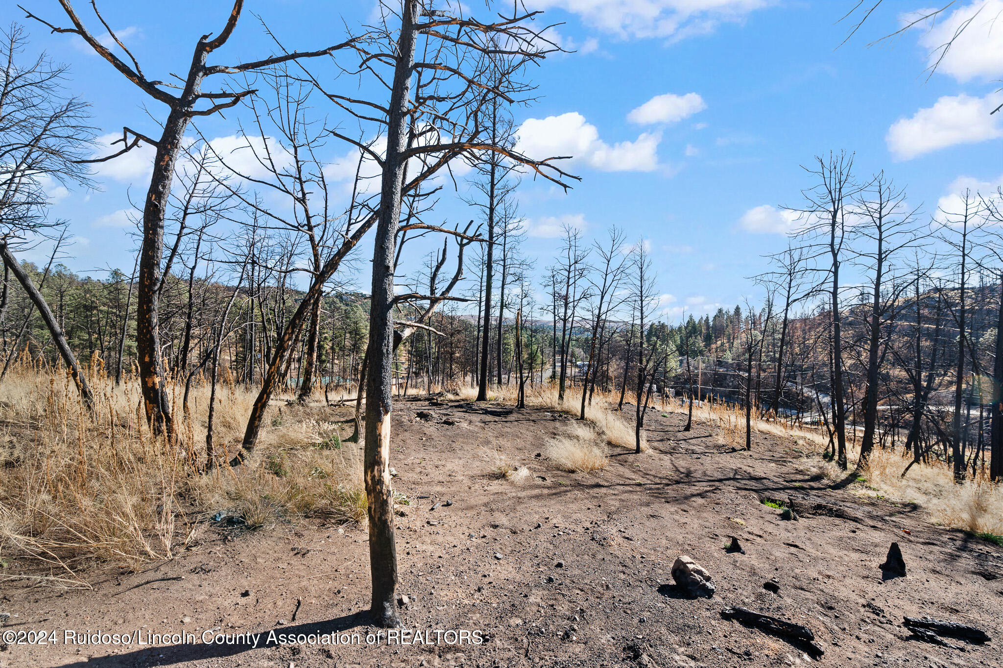 110 Cliffside Road, Ruidoso, New Mexico image 14