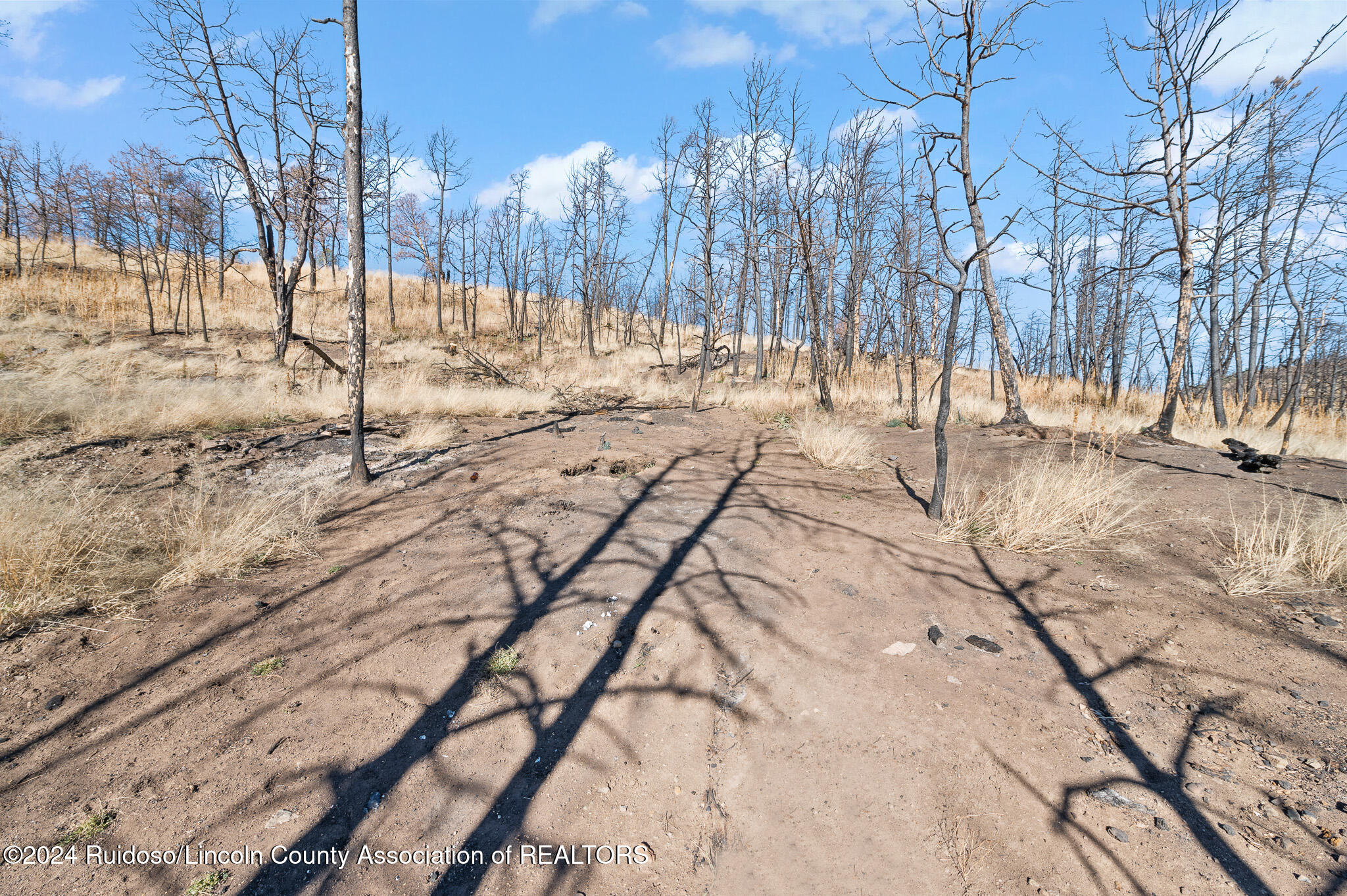 110 Cliffside Road, Ruidoso, New Mexico image 16