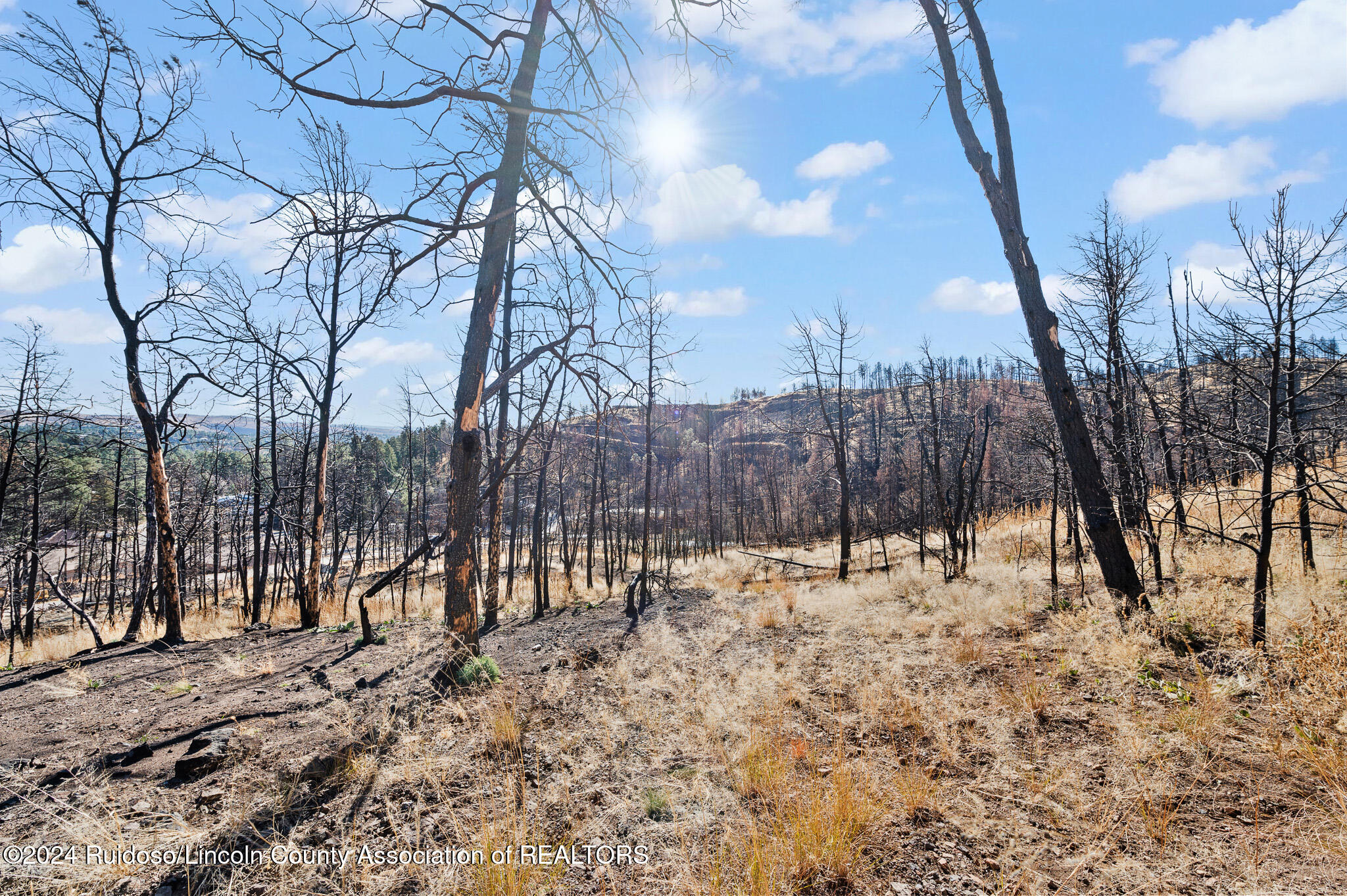 110 Cliffside Road, Ruidoso, New Mexico image 13