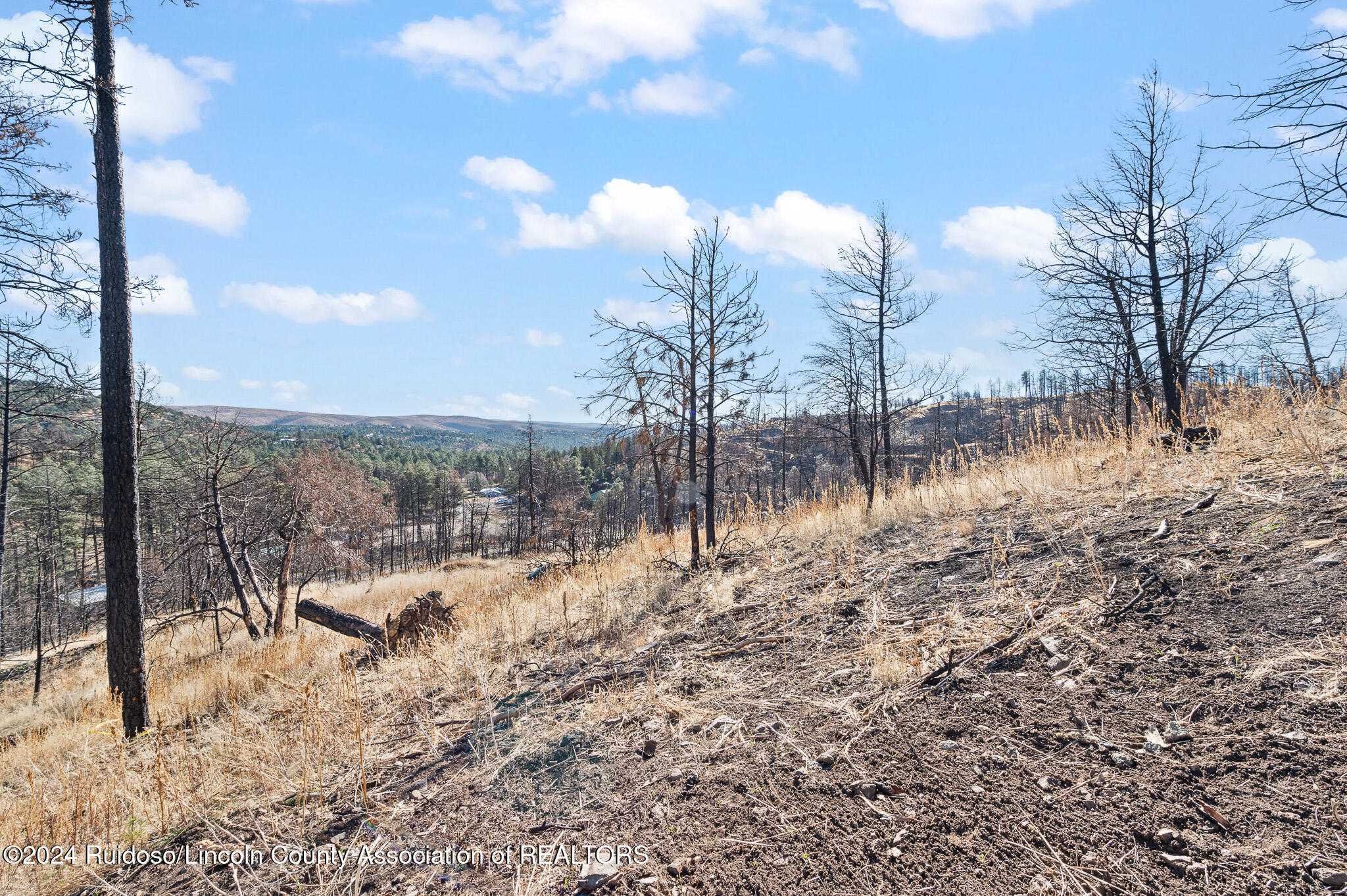 110 Cliffside Road, Ruidoso, New Mexico image 9