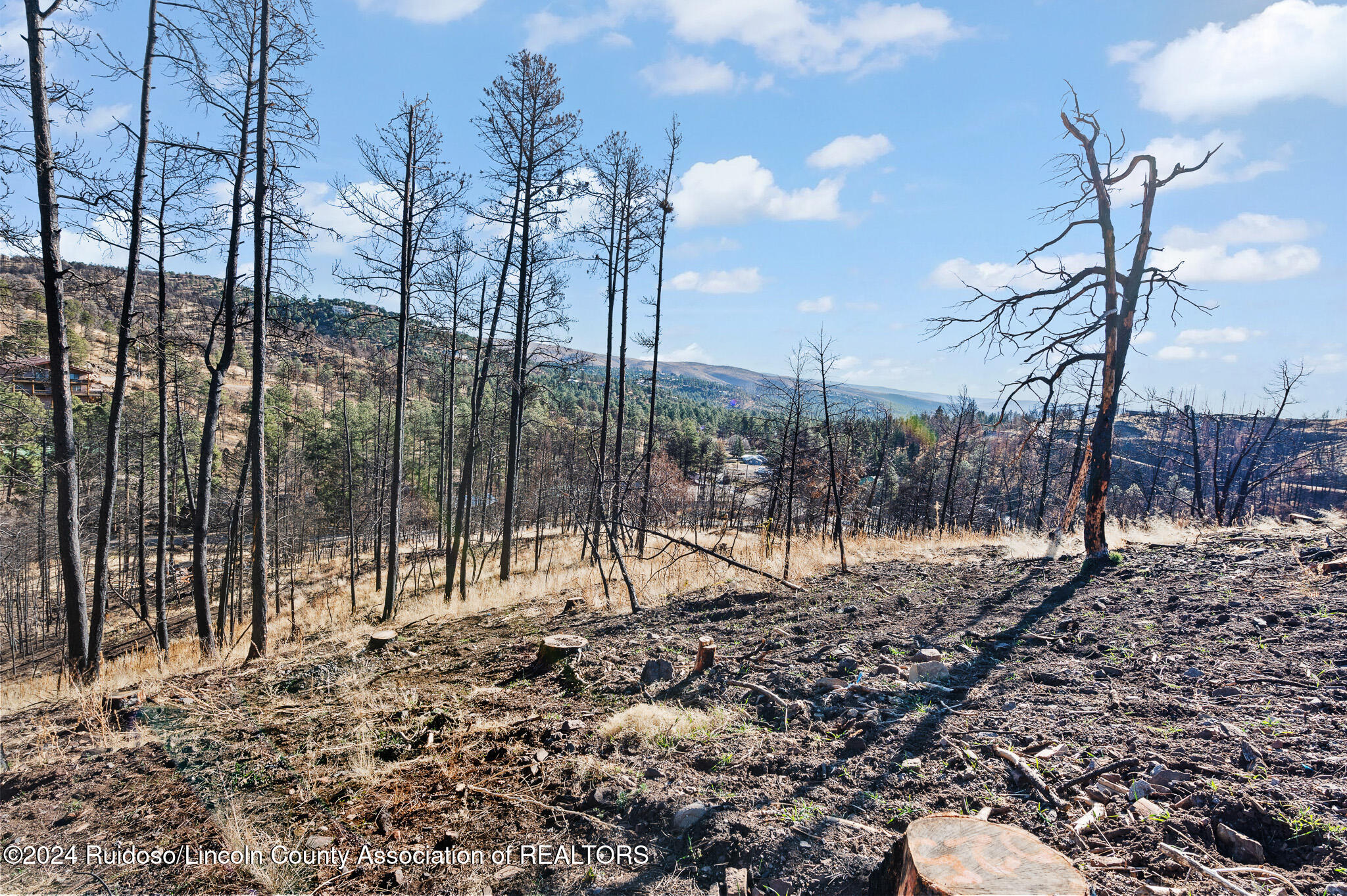 110 Cliffside Road, Ruidoso, New Mexico image 6