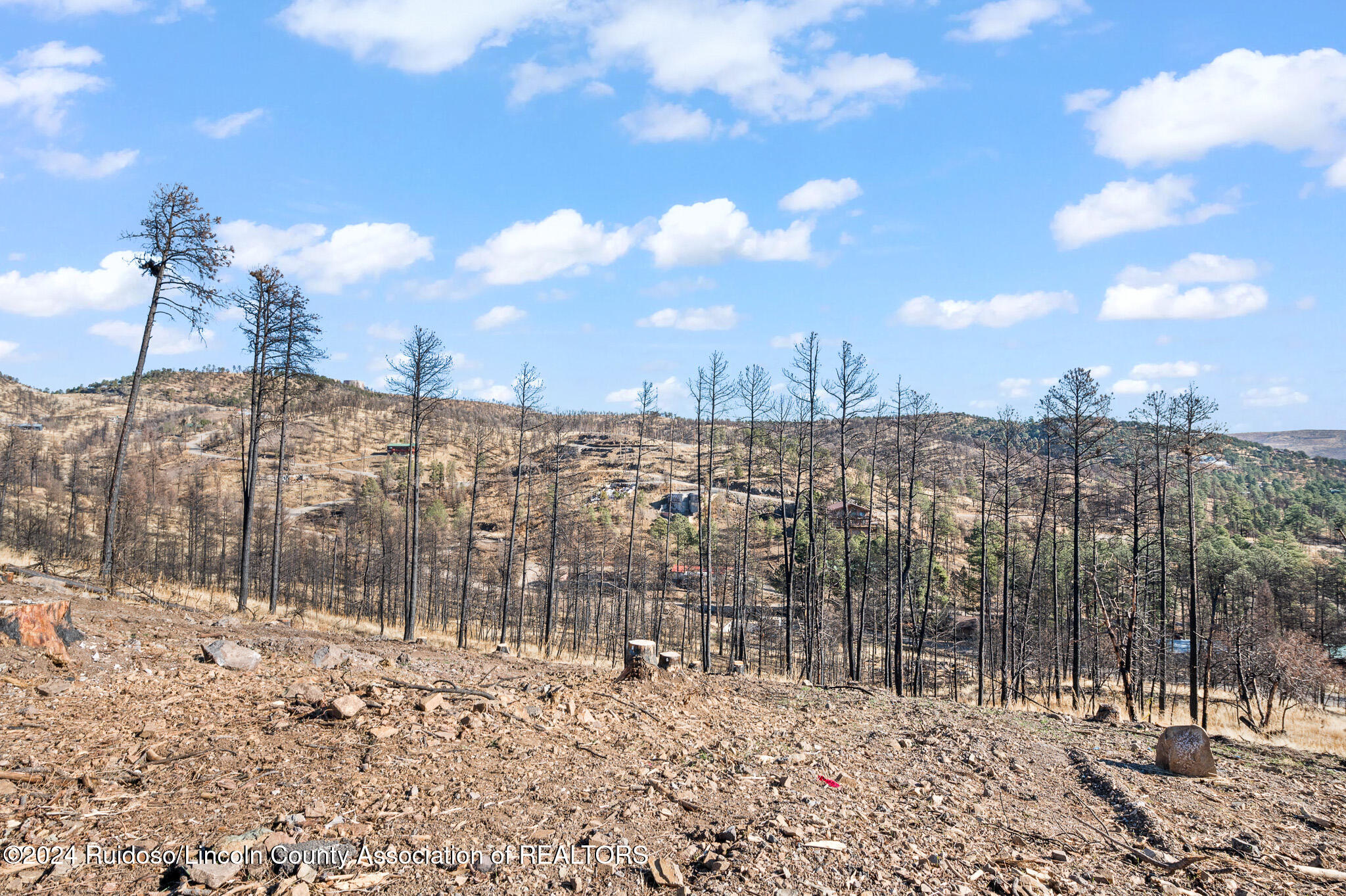 110 Cliffside Road, Ruidoso, New Mexico image 4