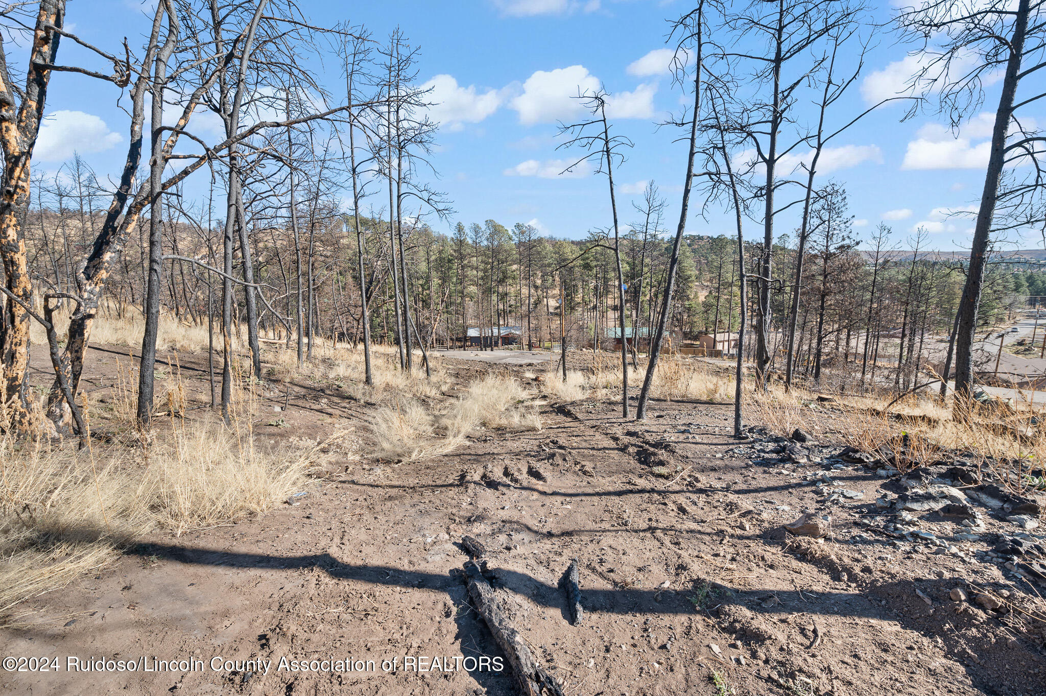 110 Cliffside Road, Ruidoso, New Mexico image 19