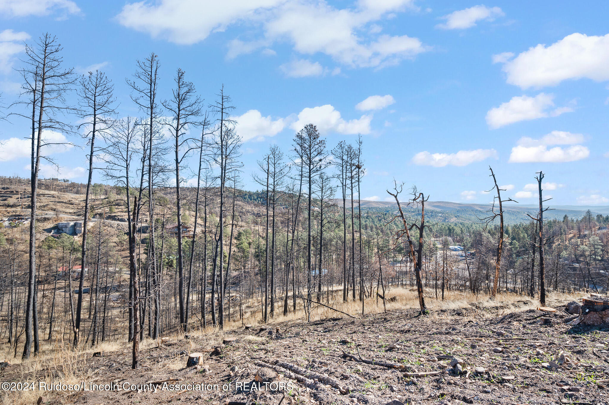 110 Cliffside Road, Ruidoso, New Mexico image 5