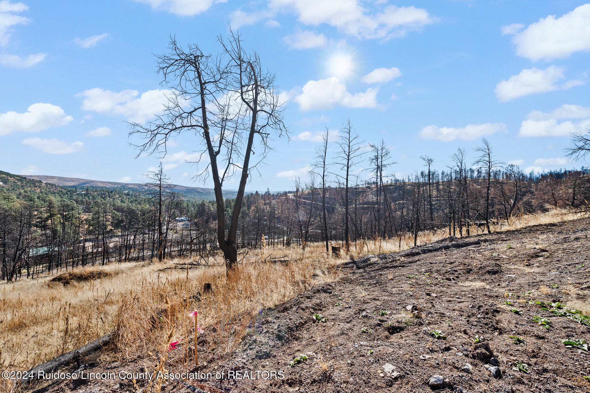 110 Cliffside Road, Ruidoso, New Mexico image 10