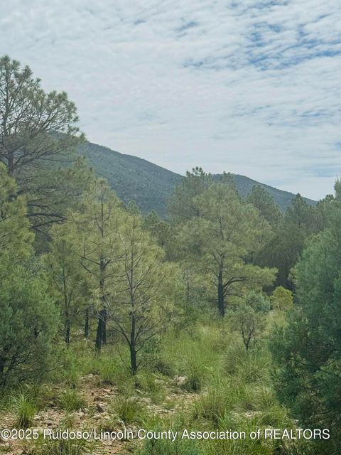 Vacant Land For Sale - - Johnny's Drive<br/> Timberon, NM 88350