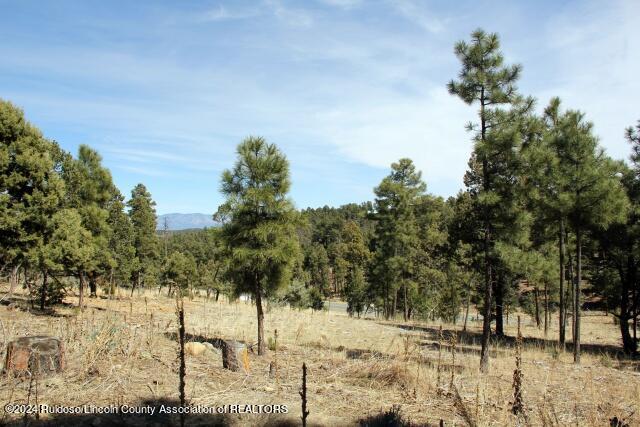 Alto, New Mexico 88312, United States, ,Land,Active,55855