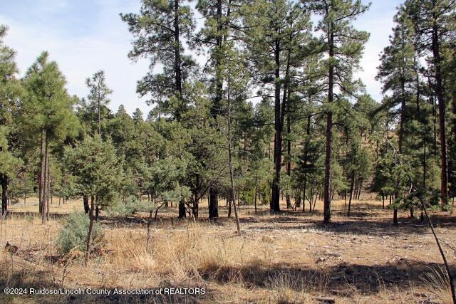 Alto, New Mexico 88312, United States, ,Land,Active,55855