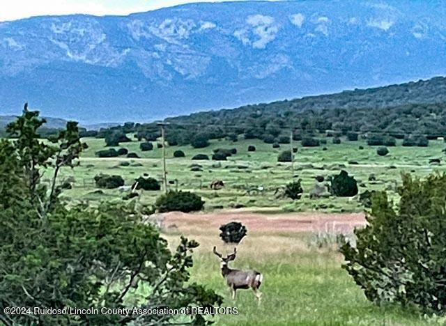 269 Pine Lodge Road, Capitan, New Mexico image 33