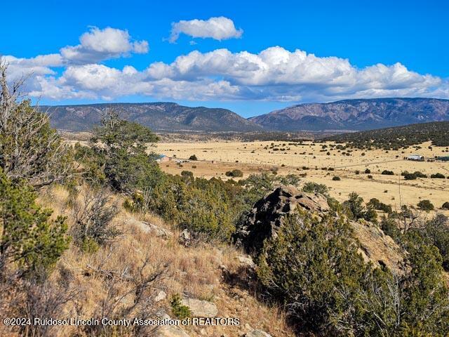 269 Pine Lodge Road, Capitan, New Mexico image 12