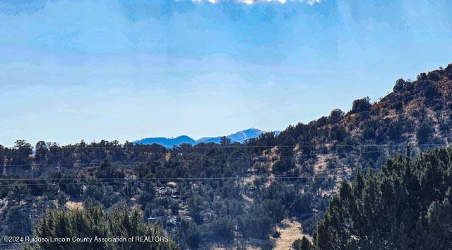 269 Pine Lodge Road, Capitan, New Mexico image 29