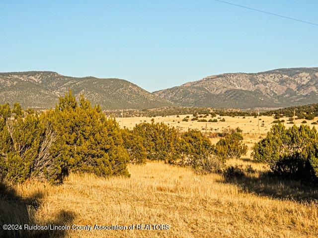 269 Pine Lodge Road, Capitan, New Mexico image 14