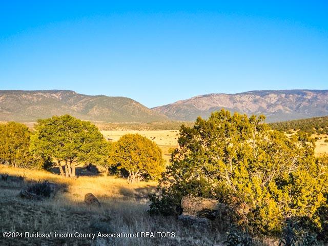 269 Pine Lodge Road, Capitan, New Mexico image 20