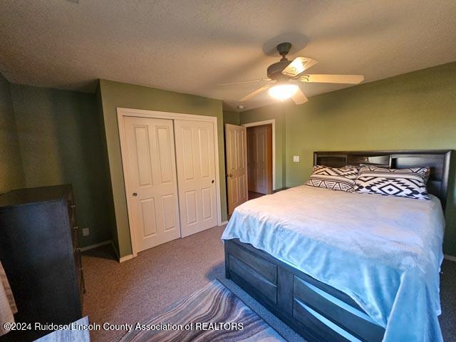 269 Pine Lodge Road, Capitan, New Mexico image 10