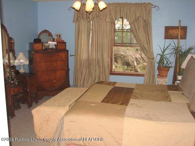 269 Pine Lodge Road, Capitan, New Mexico image 16