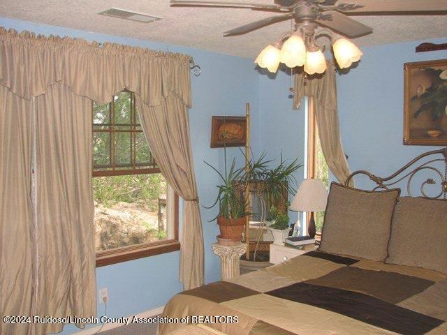 269 Pine Lodge Road, Capitan, New Mexico image 15