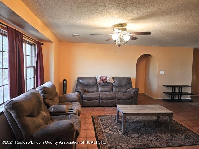 269 Pine Lodge Road, Capitan, New Mexico image 4