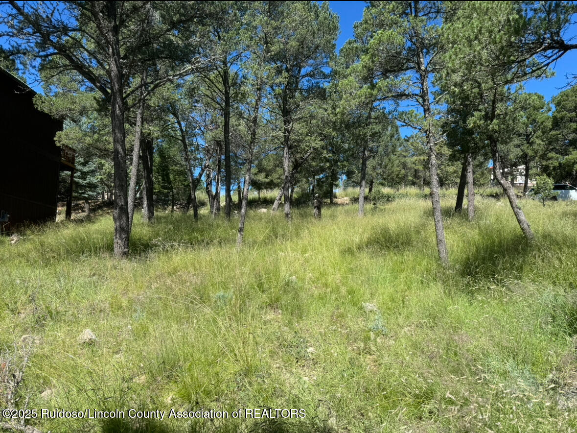 112 Cummings Drive, Ruidoso, New Mexico image 3