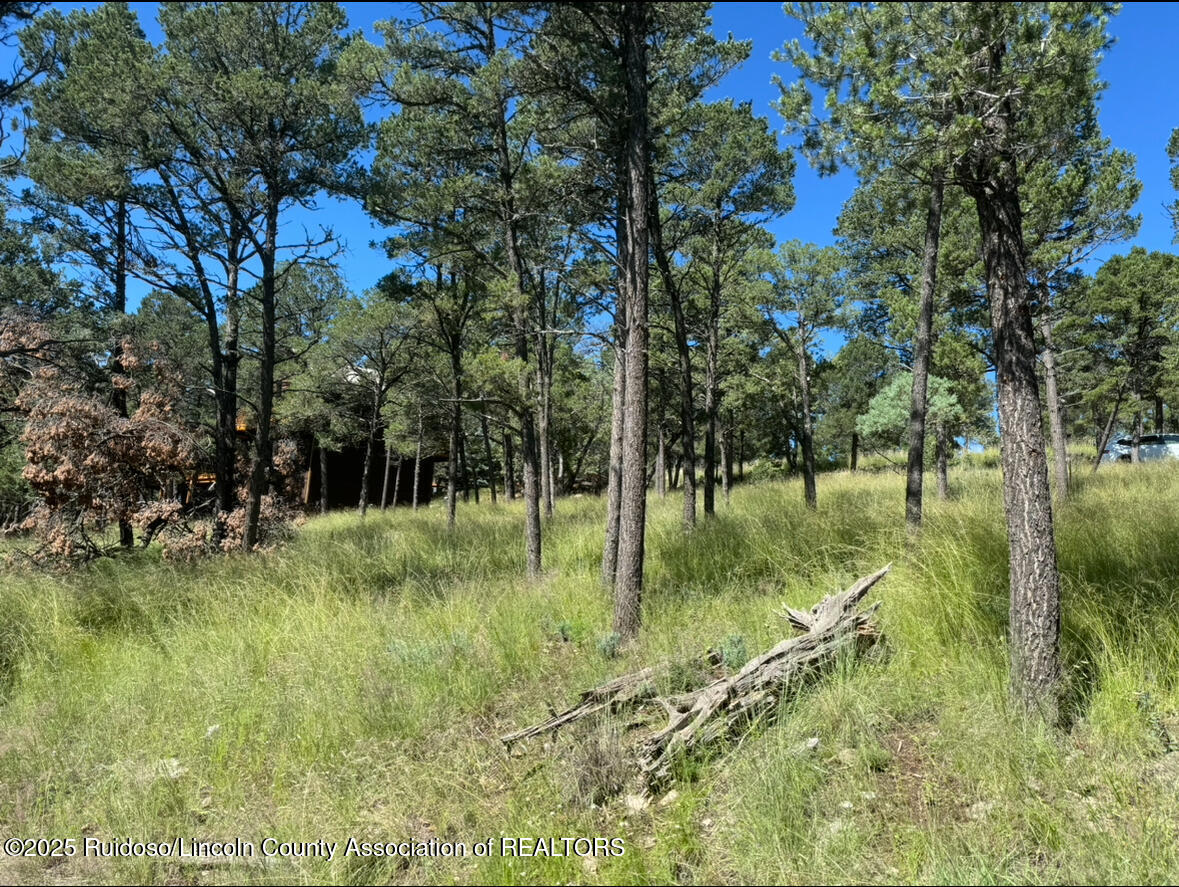 112 Cummings Drive, Ruidoso, New Mexico image 2