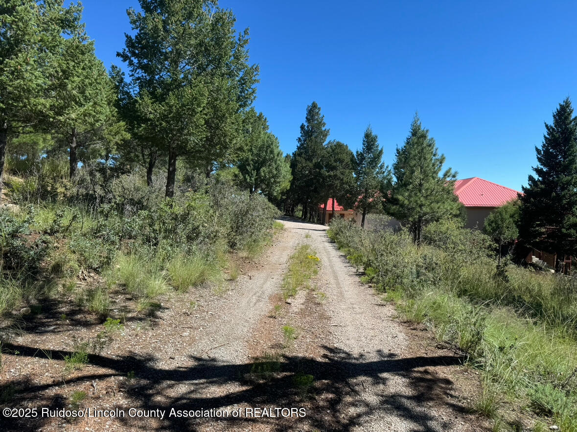 112 Cummings Drive, Ruidoso, New Mexico image 8