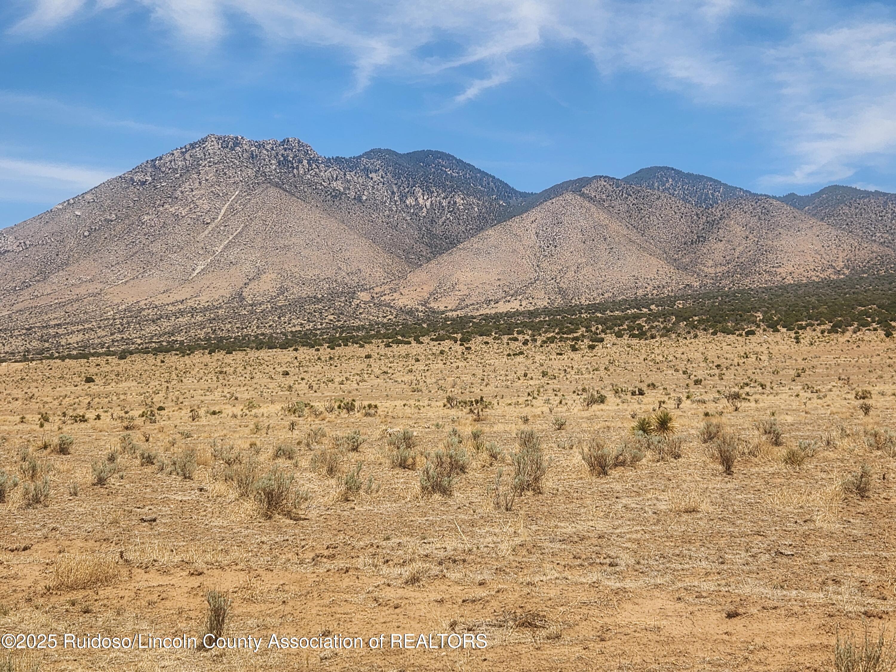 L 9&10 Via De Benado, Carrizozo, New Mexico image 8