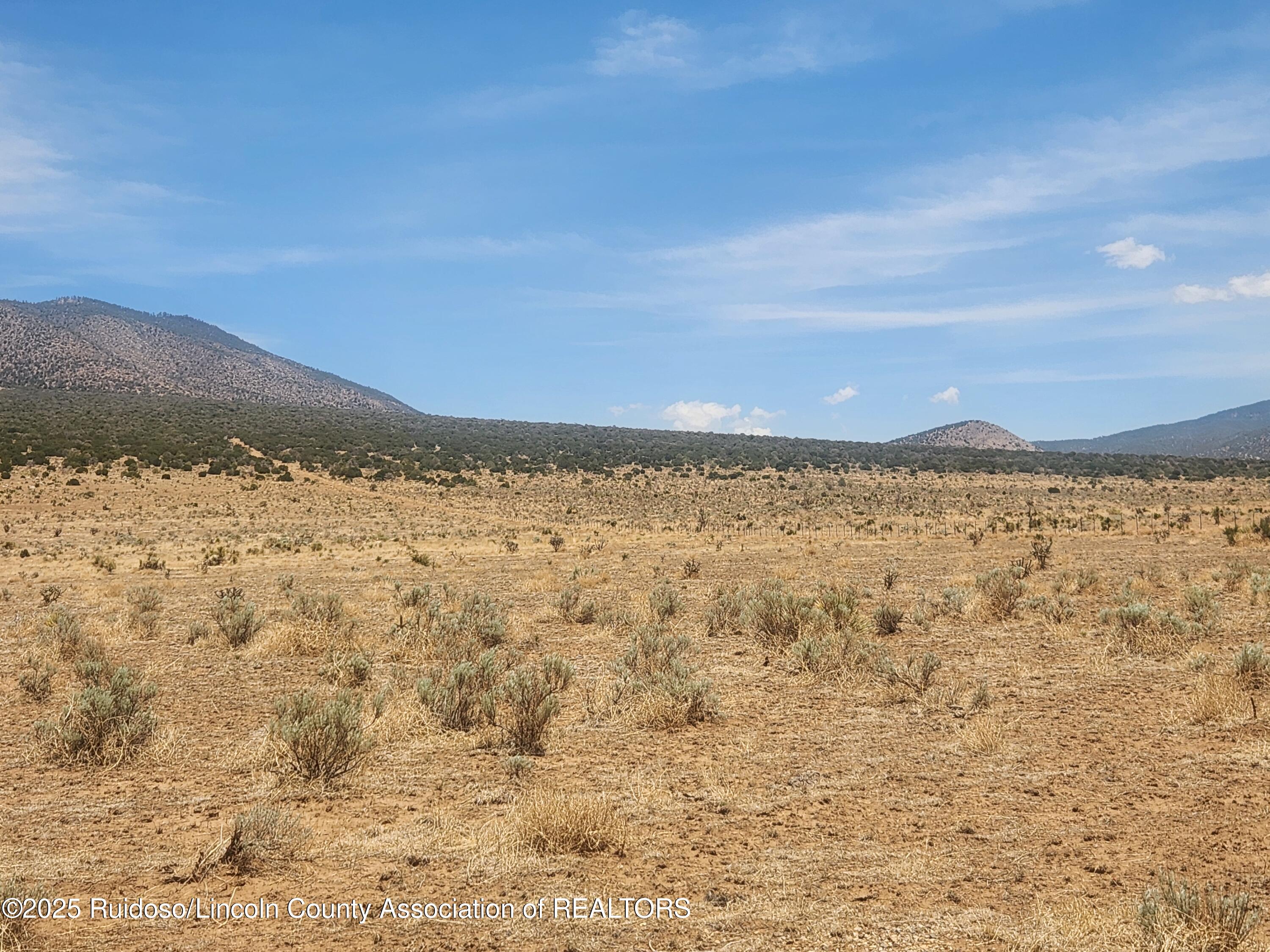 L 9&10 Via De Benado, Carrizozo, New Mexico image 10