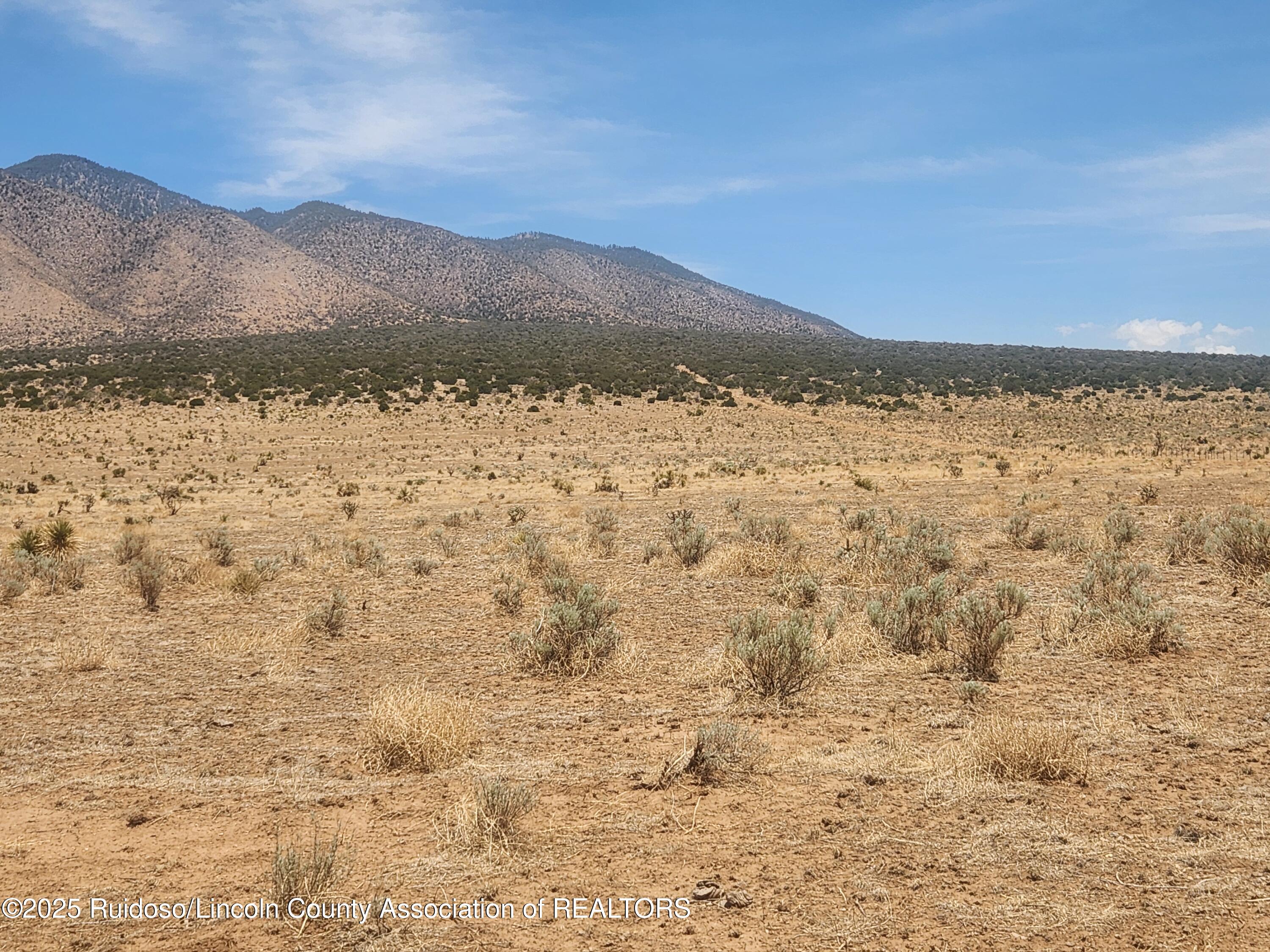 L 9&10 Via De Benado, Carrizozo, New Mexico image 7