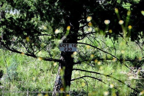 Vacant Land For Sale - 230 Cummings Drive<br/> Ruidoso, NM 88345